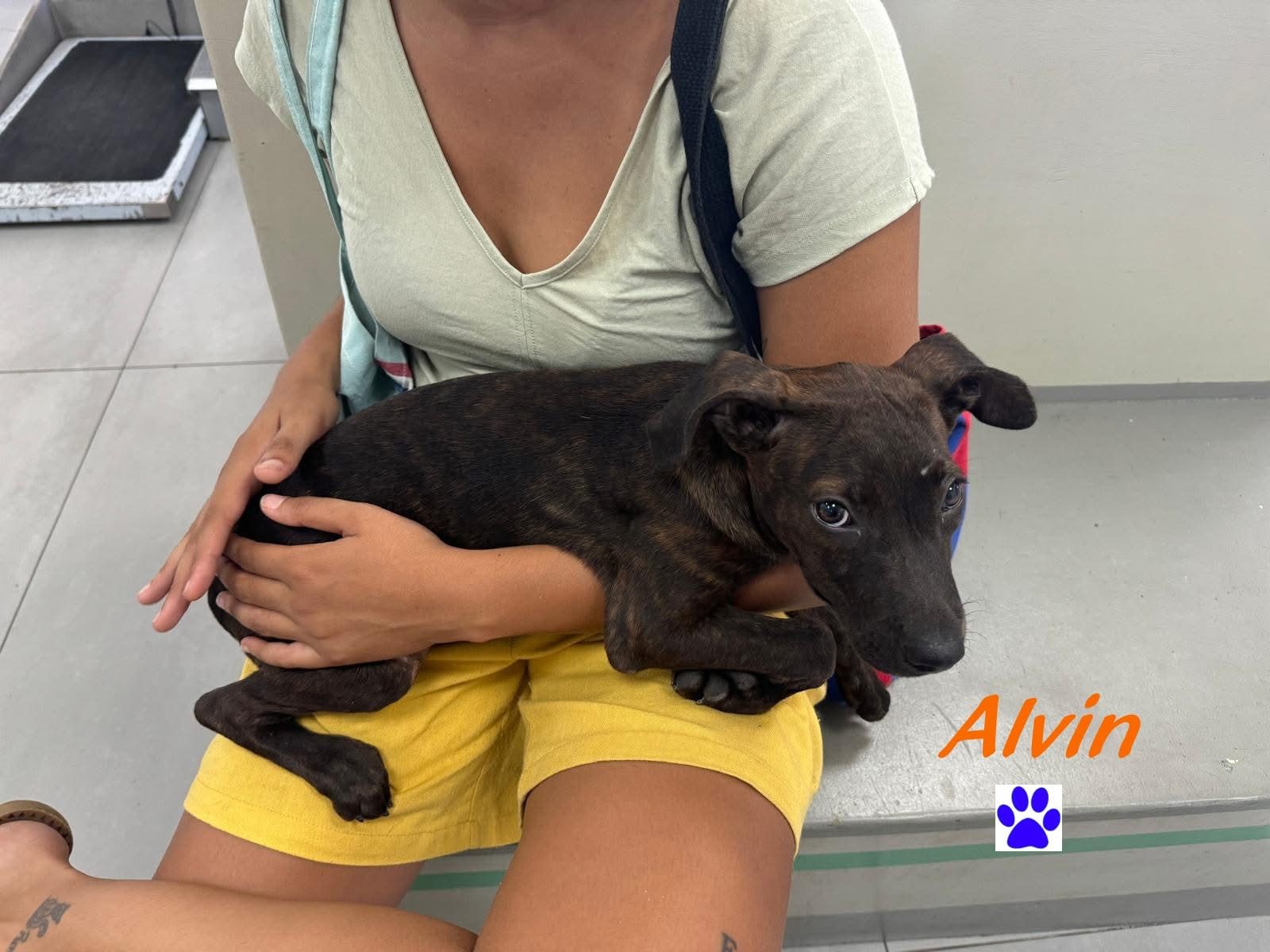 Photo of Alvin