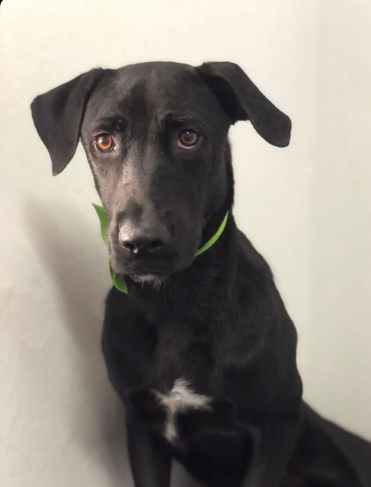 Photo of Arepa
