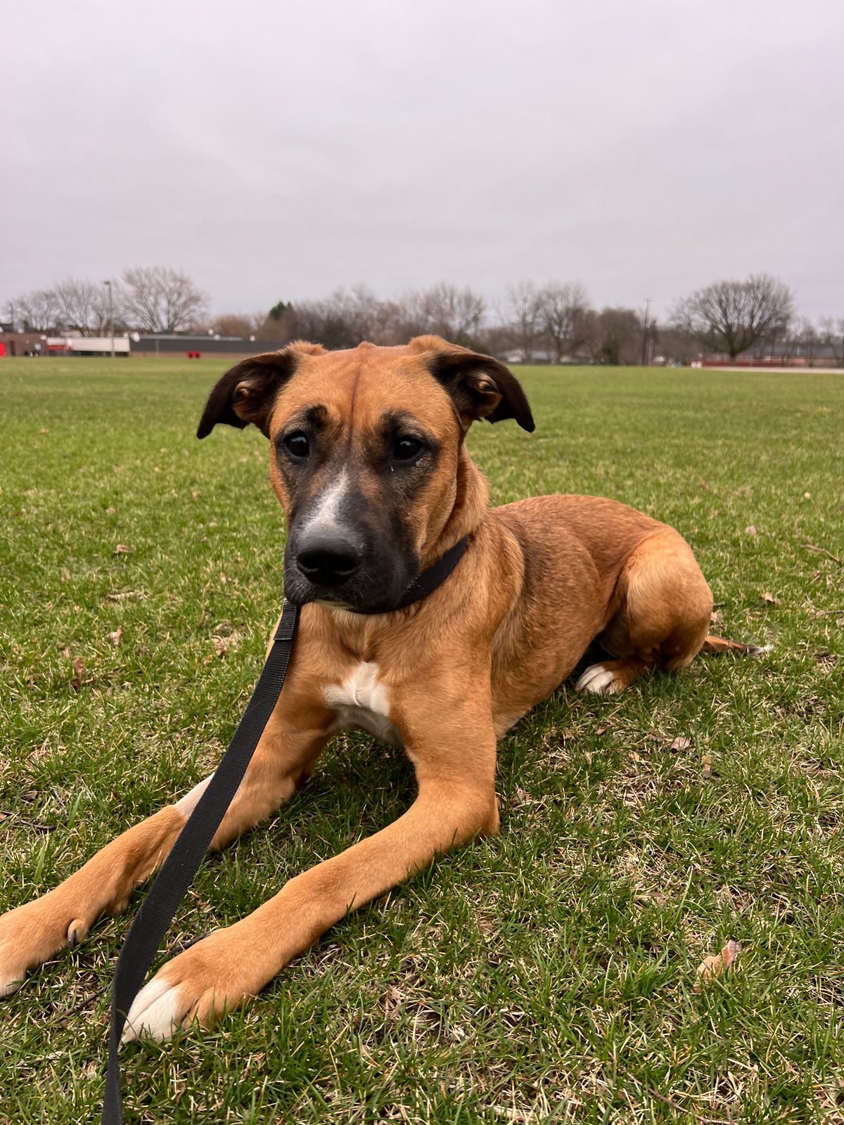 Photo of Athena