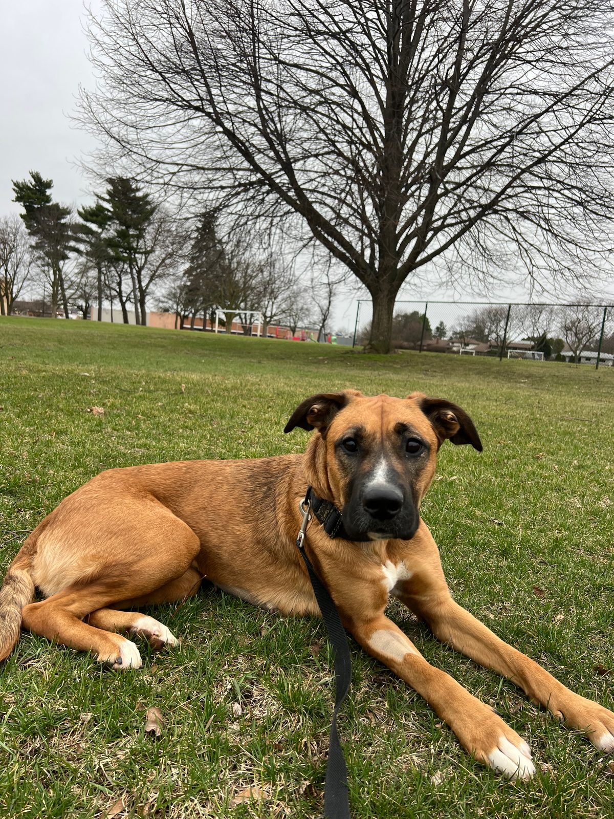 Photo of Athena