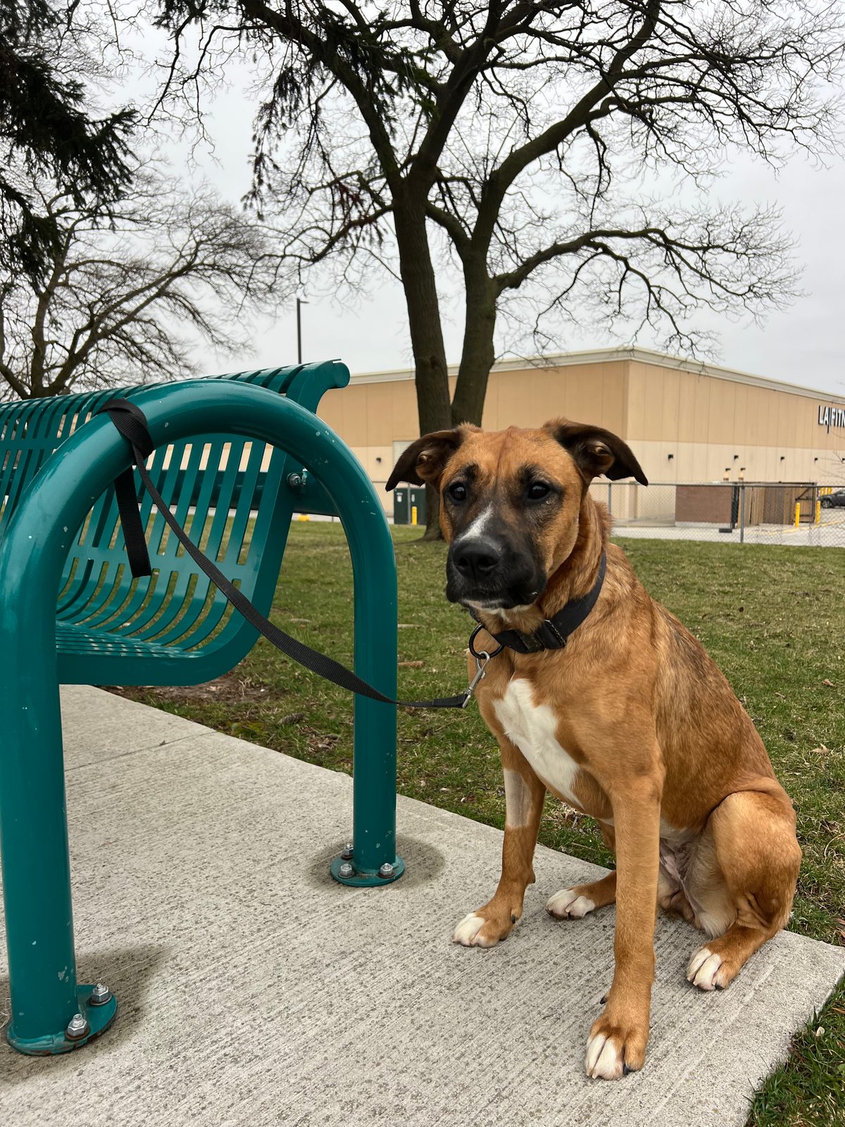 Photo of Athena