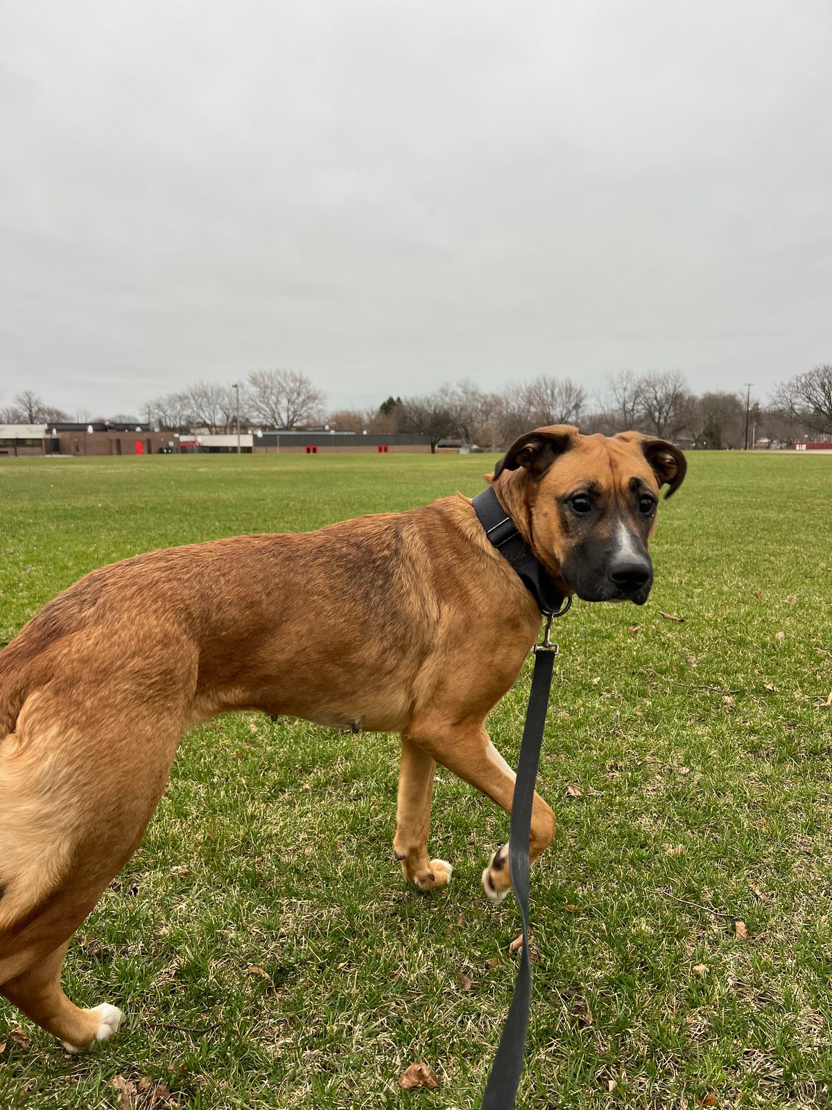 Photo of Athena