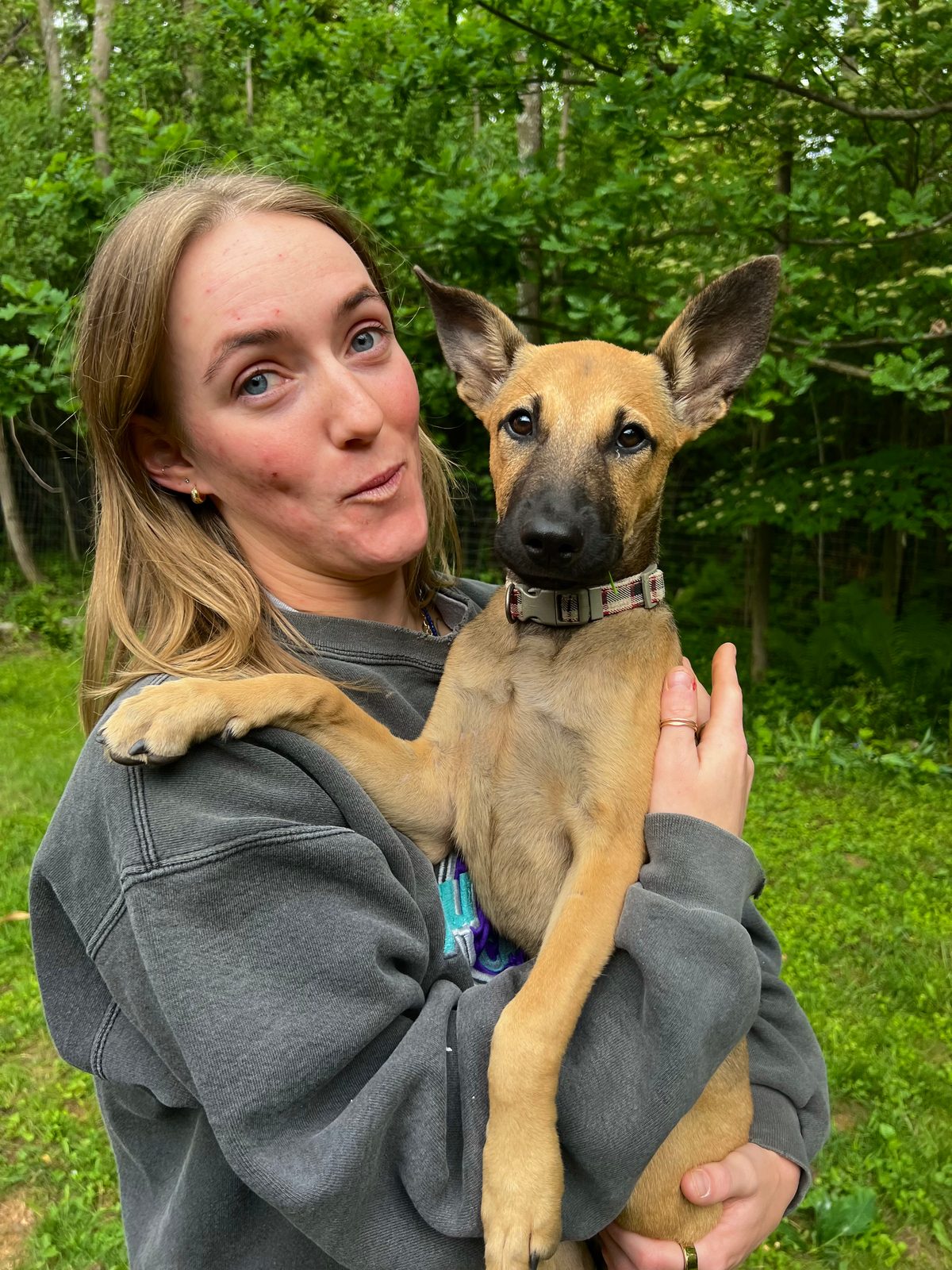Photo of Bambi