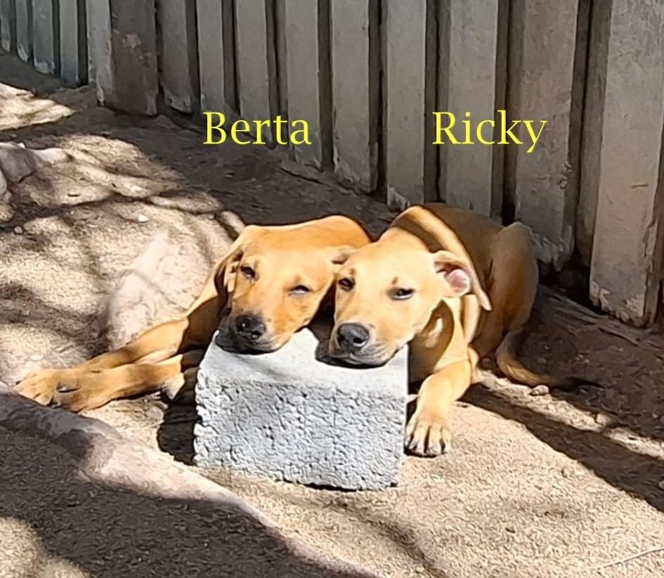 Photo of Berta