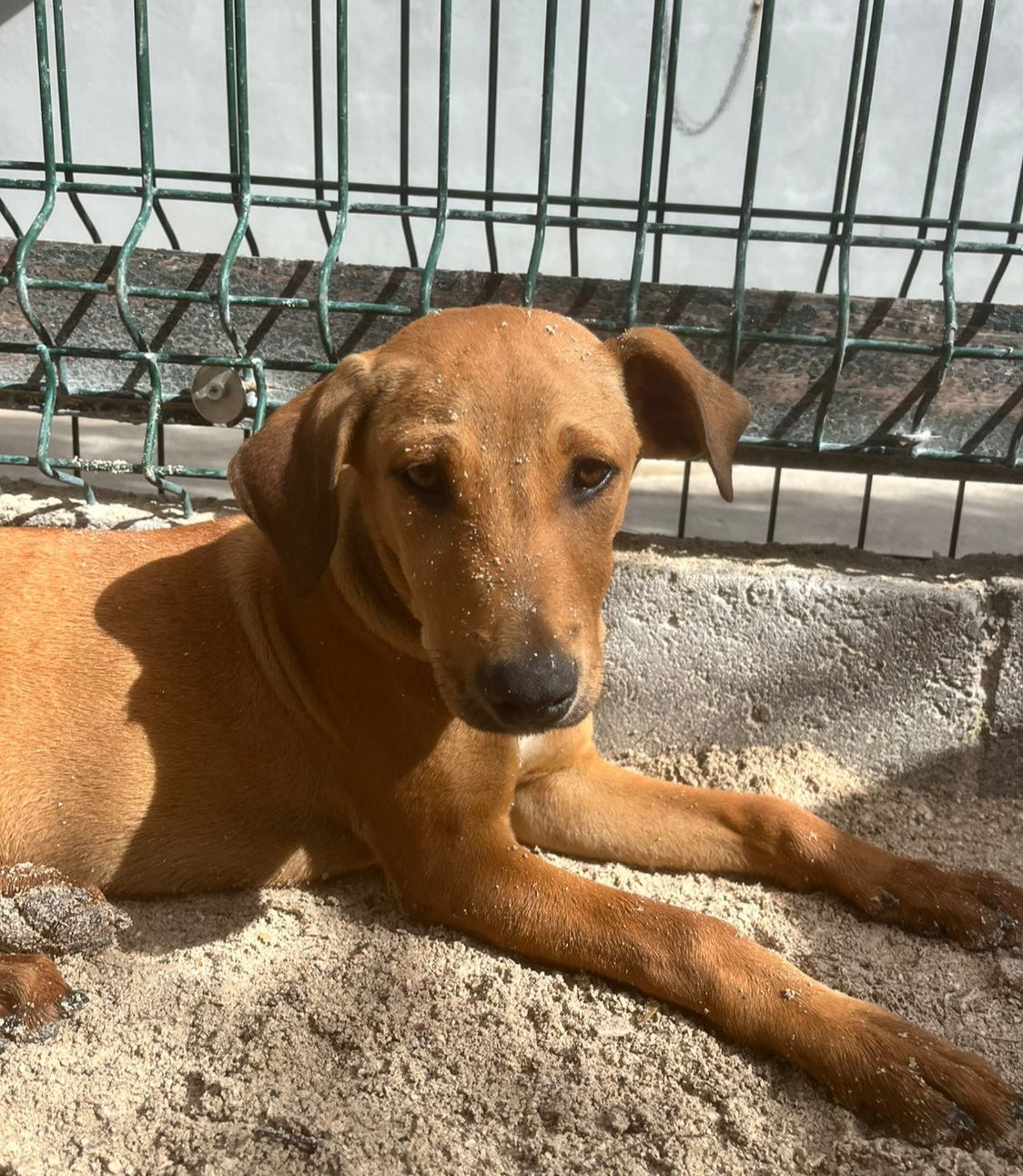 Photo of Berta