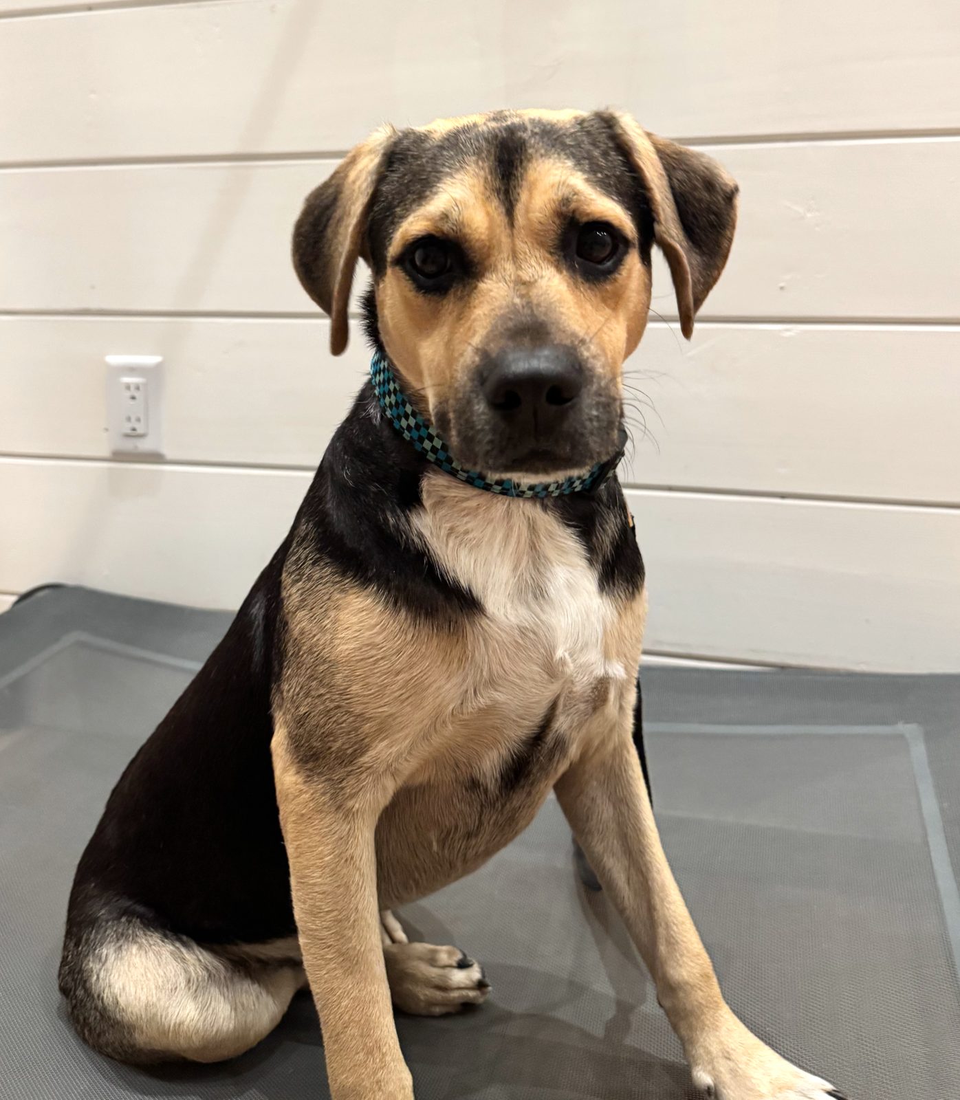 Photo of Bobby