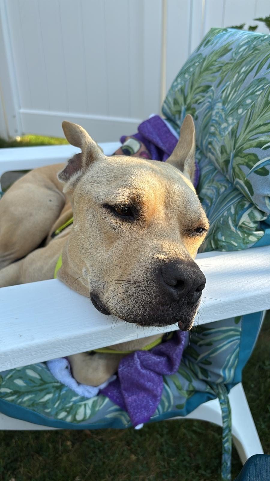 Photo of Bonnie