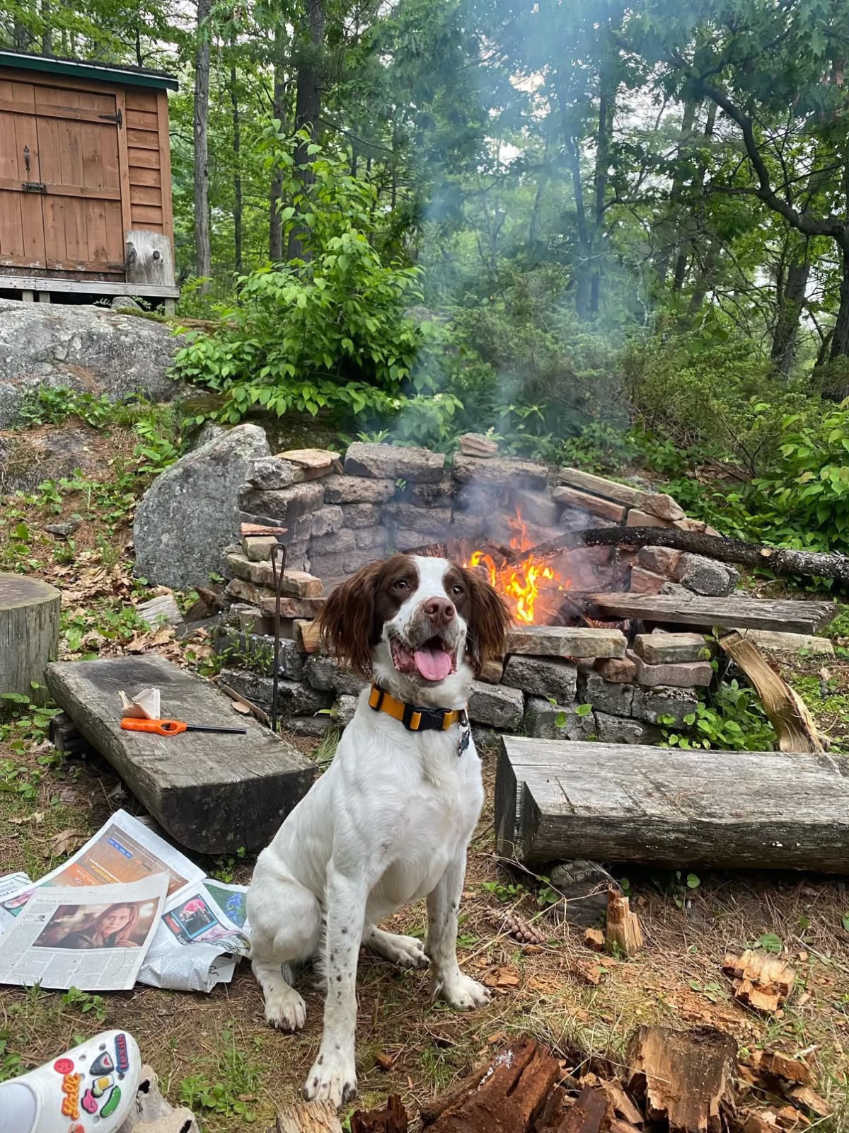 Photo of Bourbon