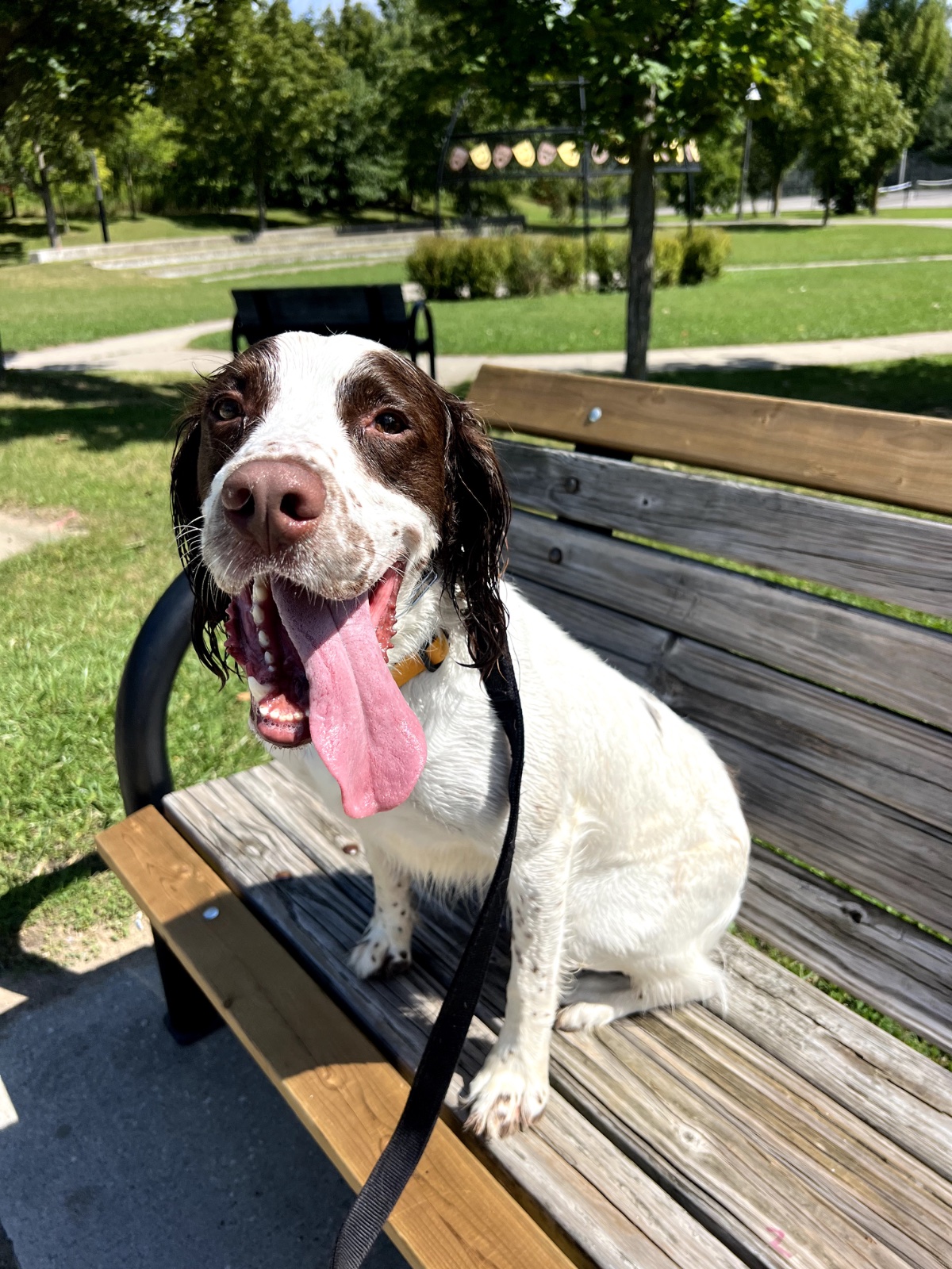 Photo of Bourbon