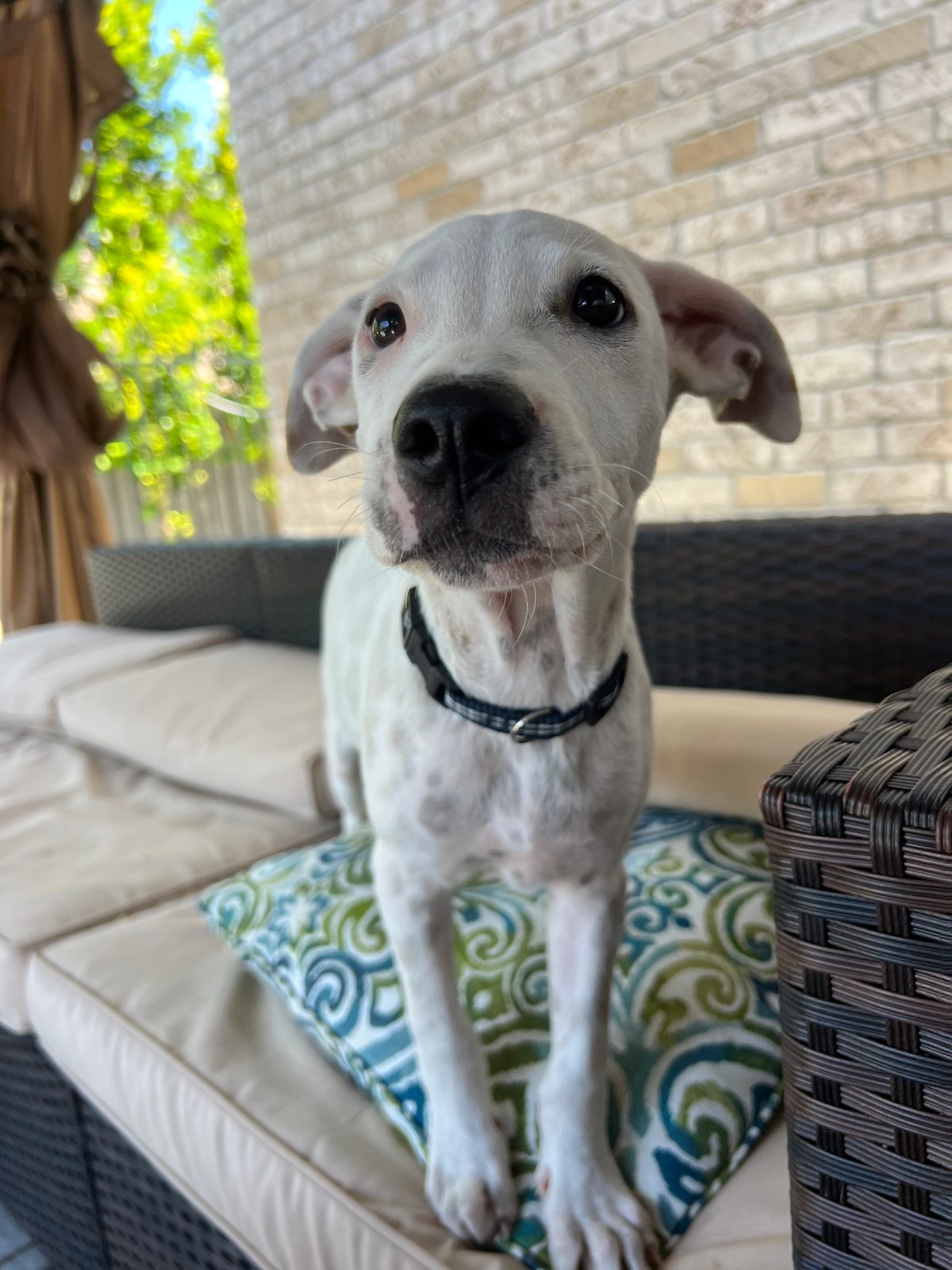 Photo of Breeze