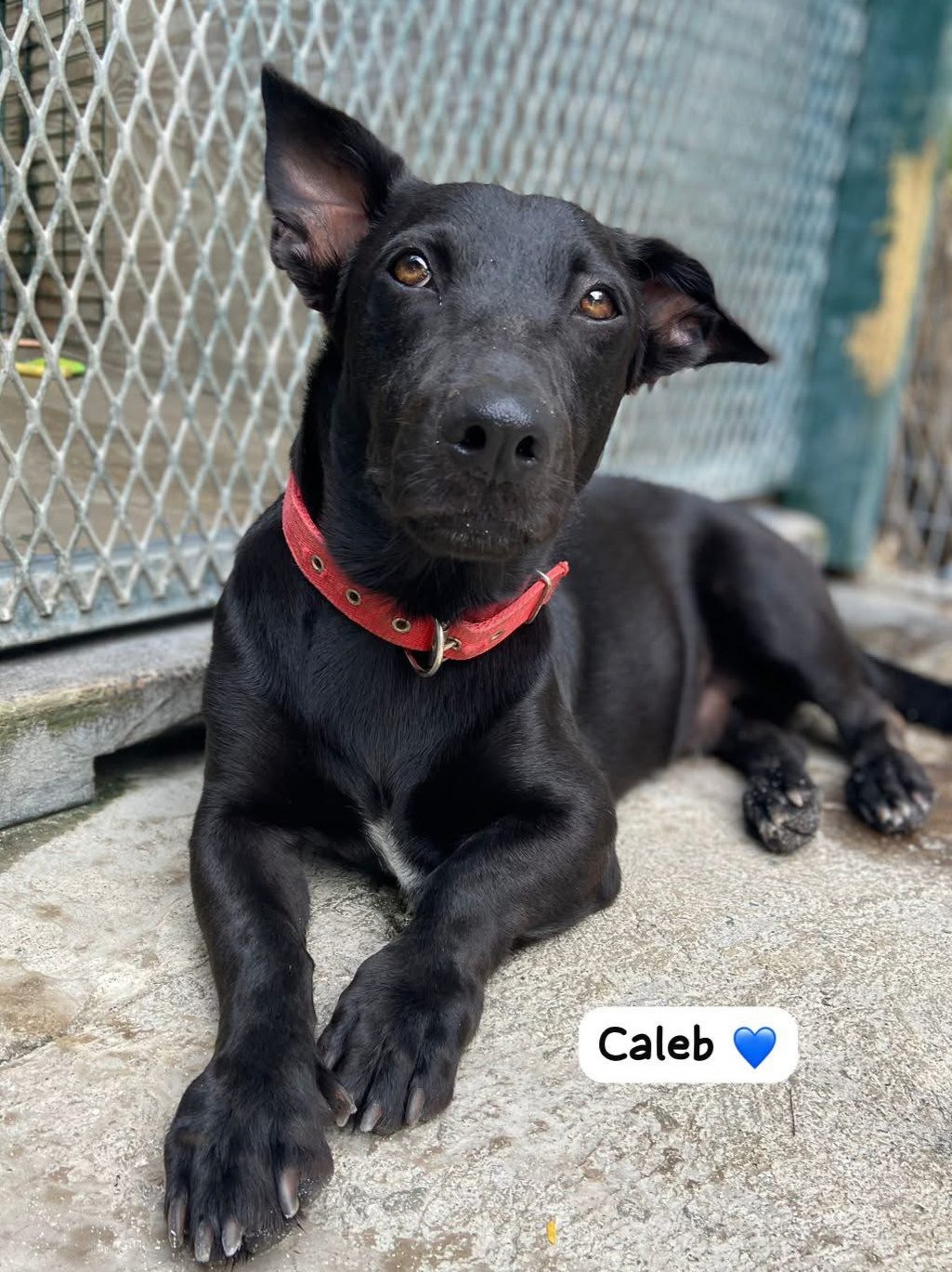 Photo of Caleb