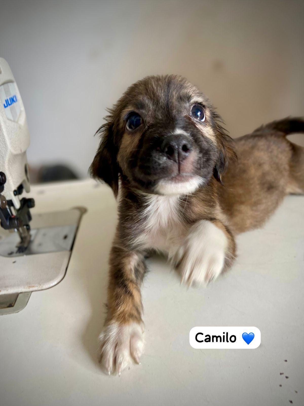 Photo of Camilo