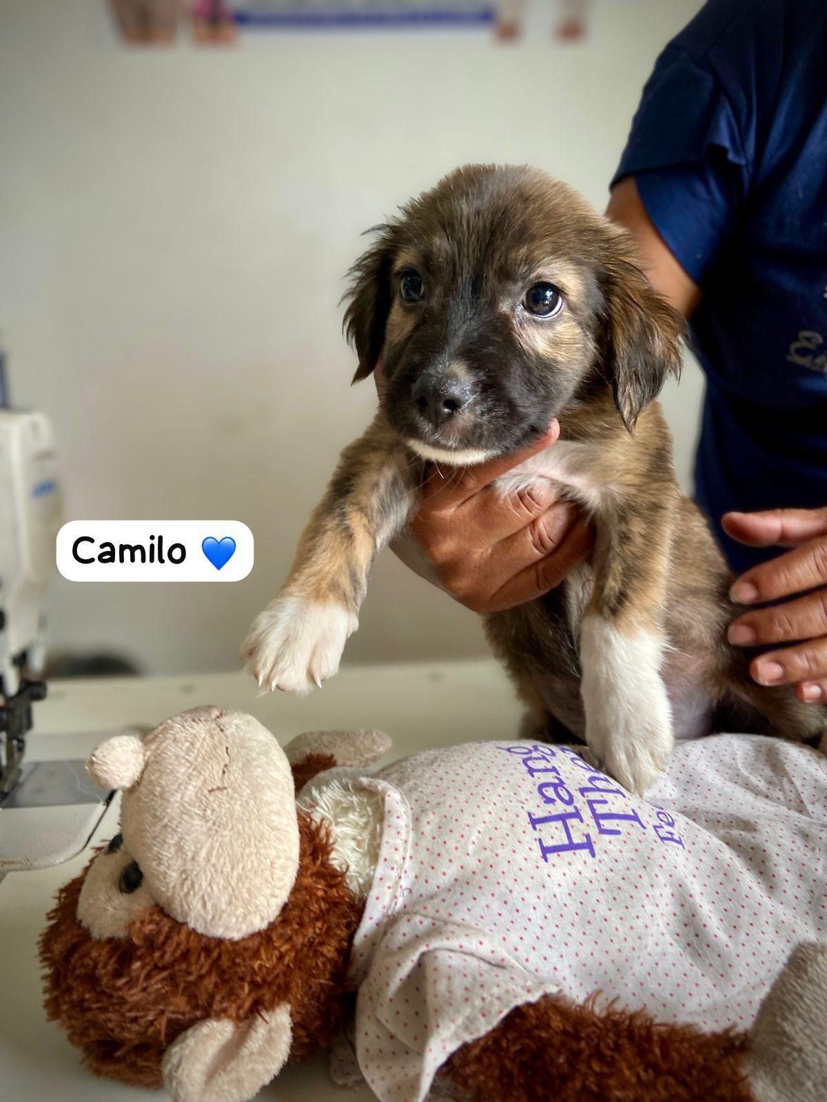 Photo of Camilo