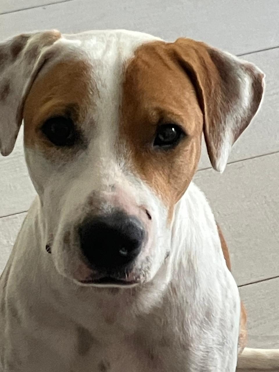 Photo of Chance