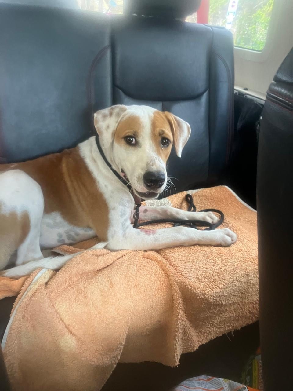 Photo of Chance
