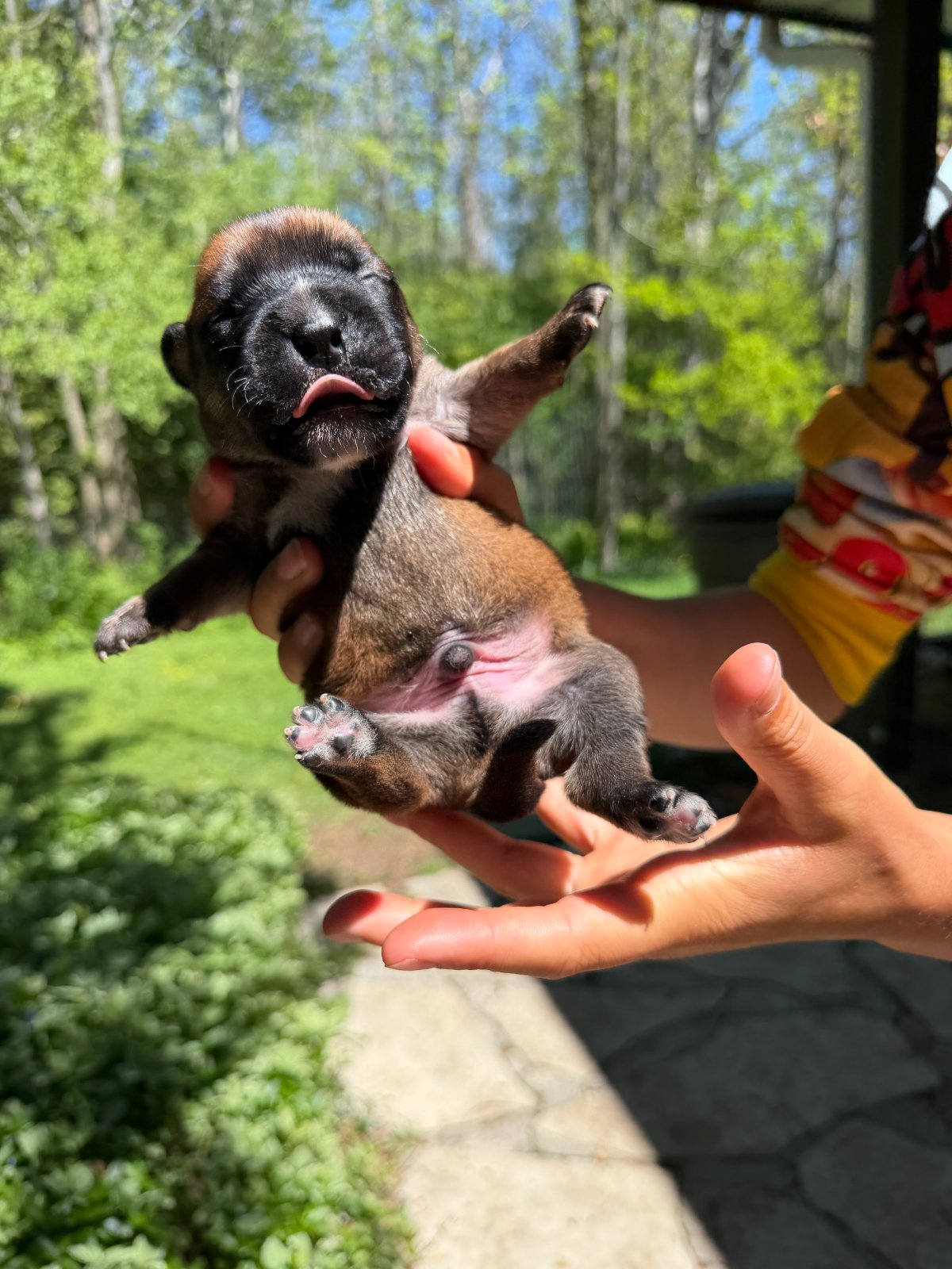 Photo of Chance