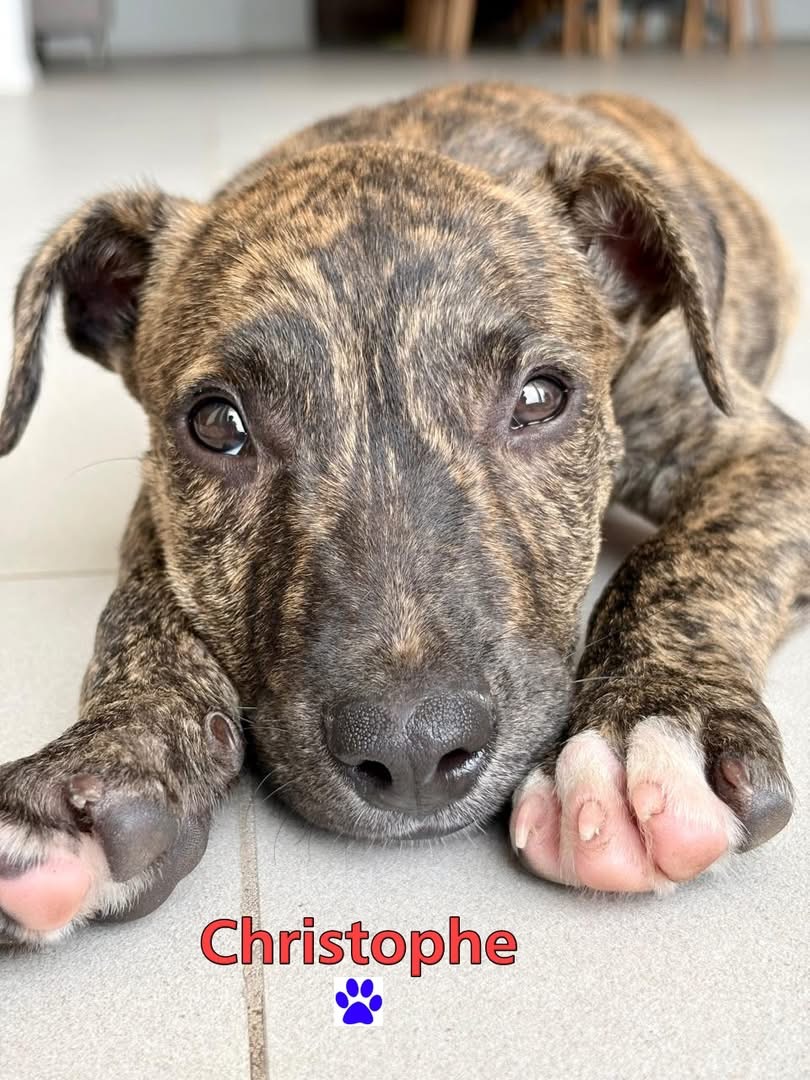 Photo of Christophe