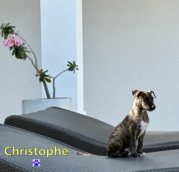 Photo of Christophe