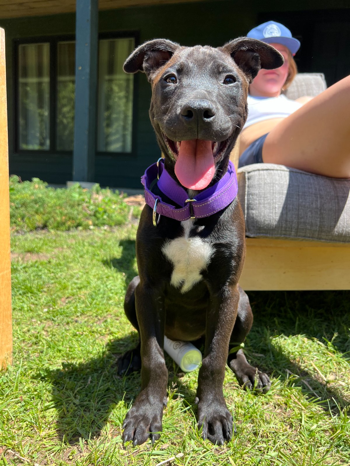 Photo of Cinder