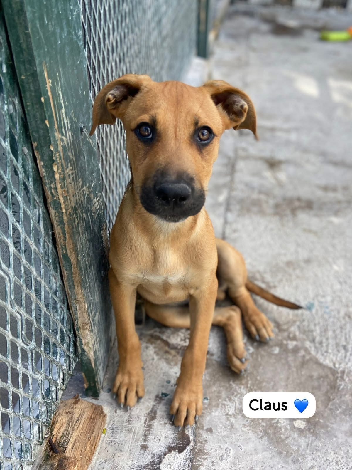 Photo of Claus