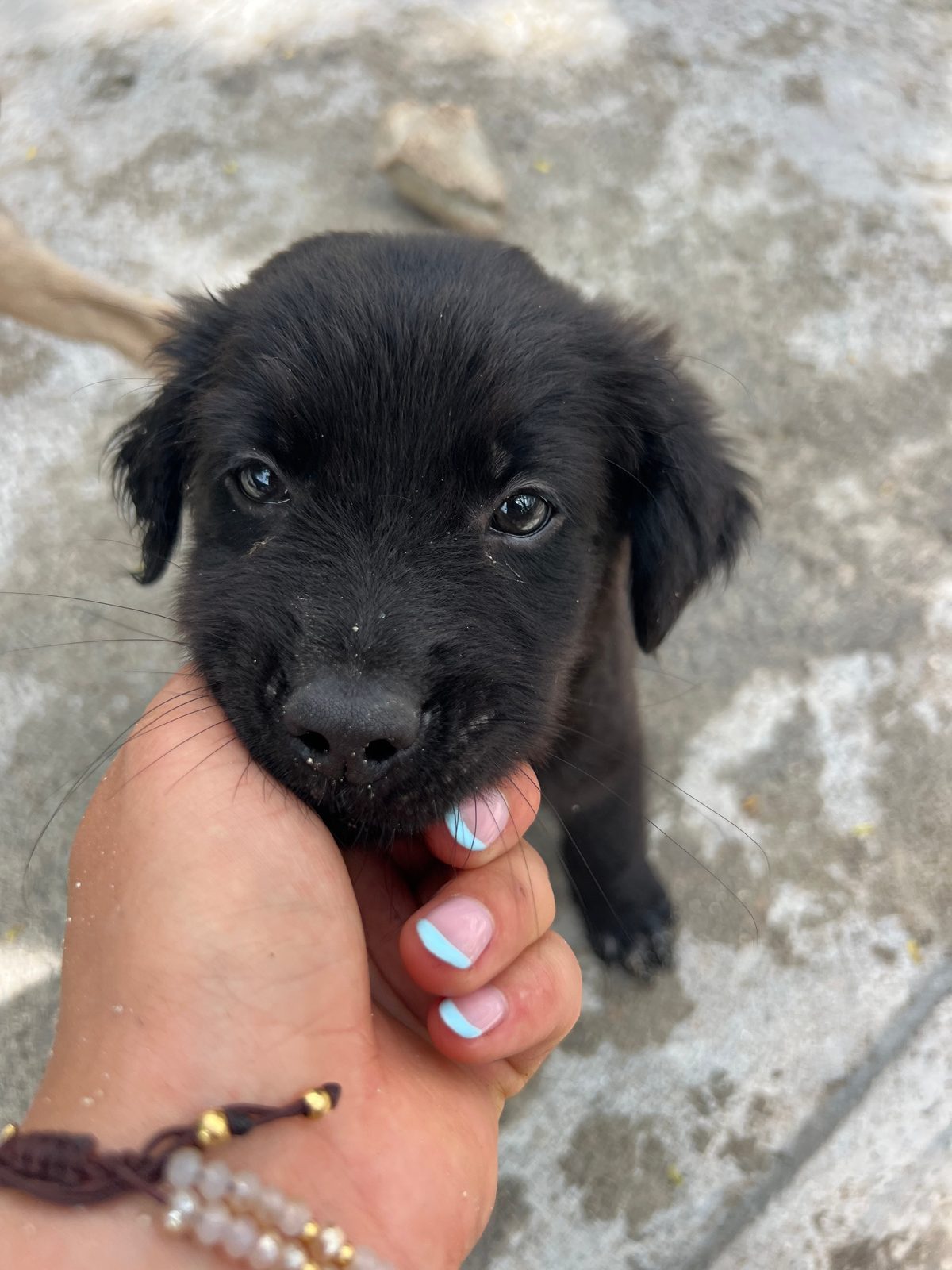 Photo of Cooper
