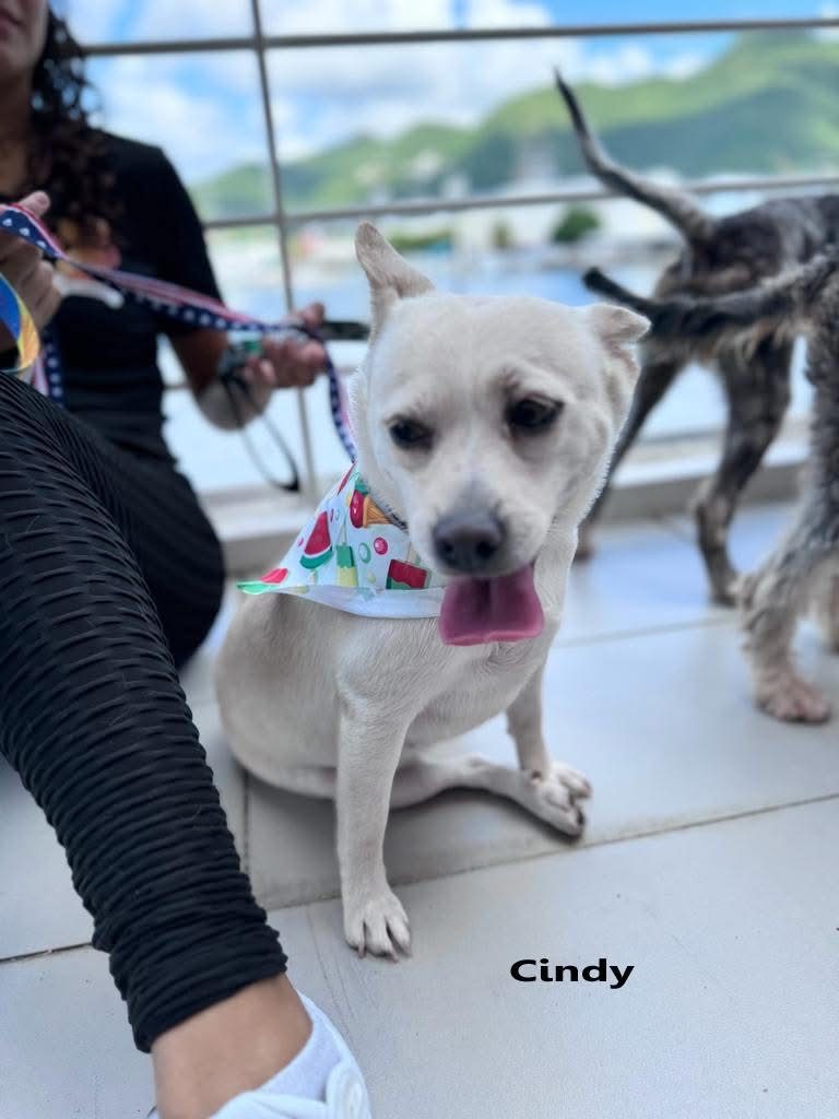 Photo of Darla & Cindy