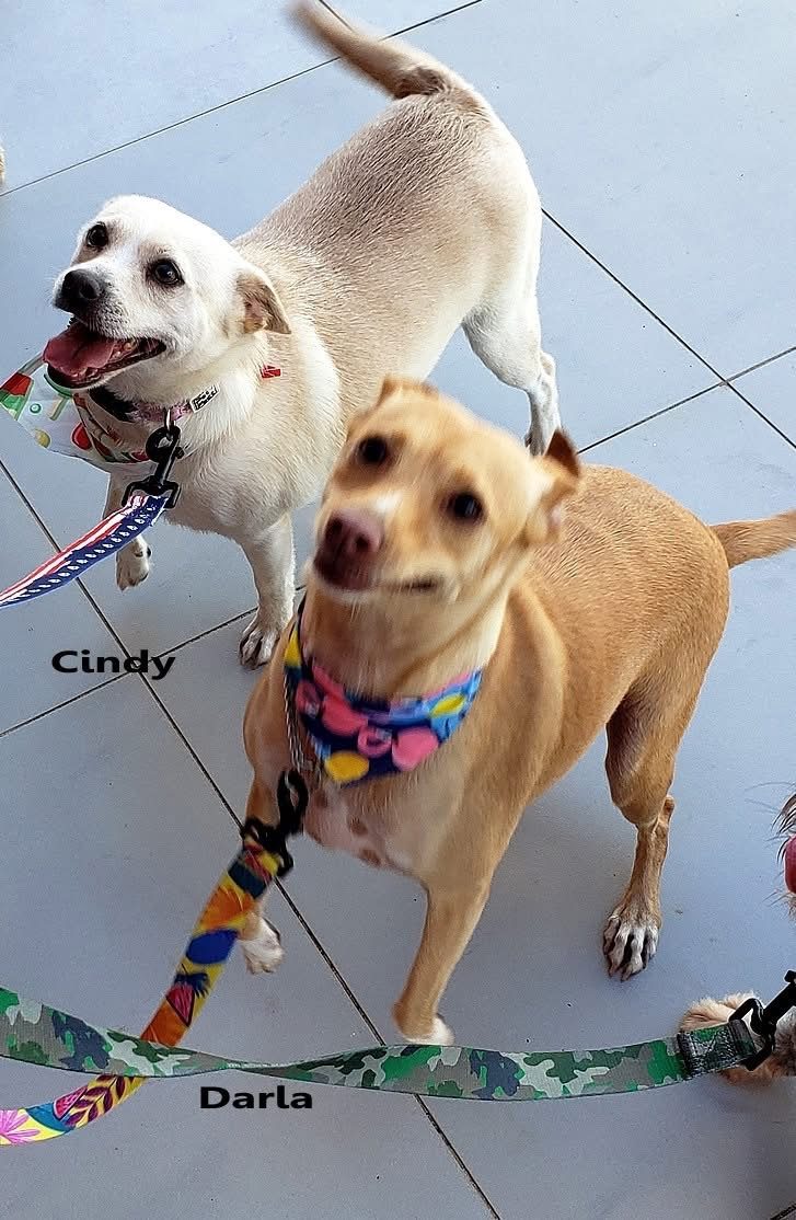 Photo of Darla & Cindy