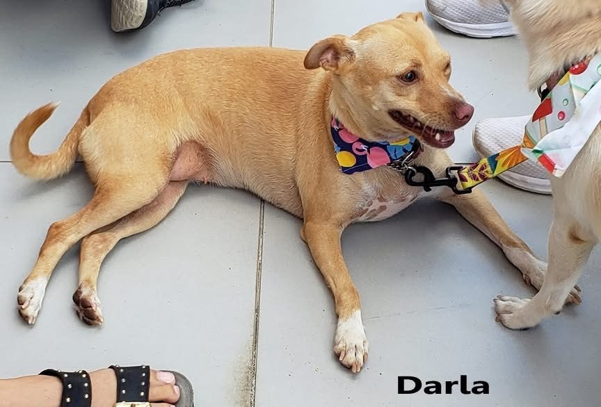 Photo of Darla & Cindy