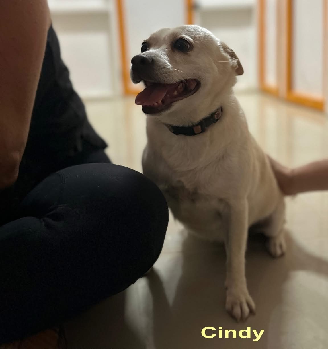 Photo of Darla & Cindy
