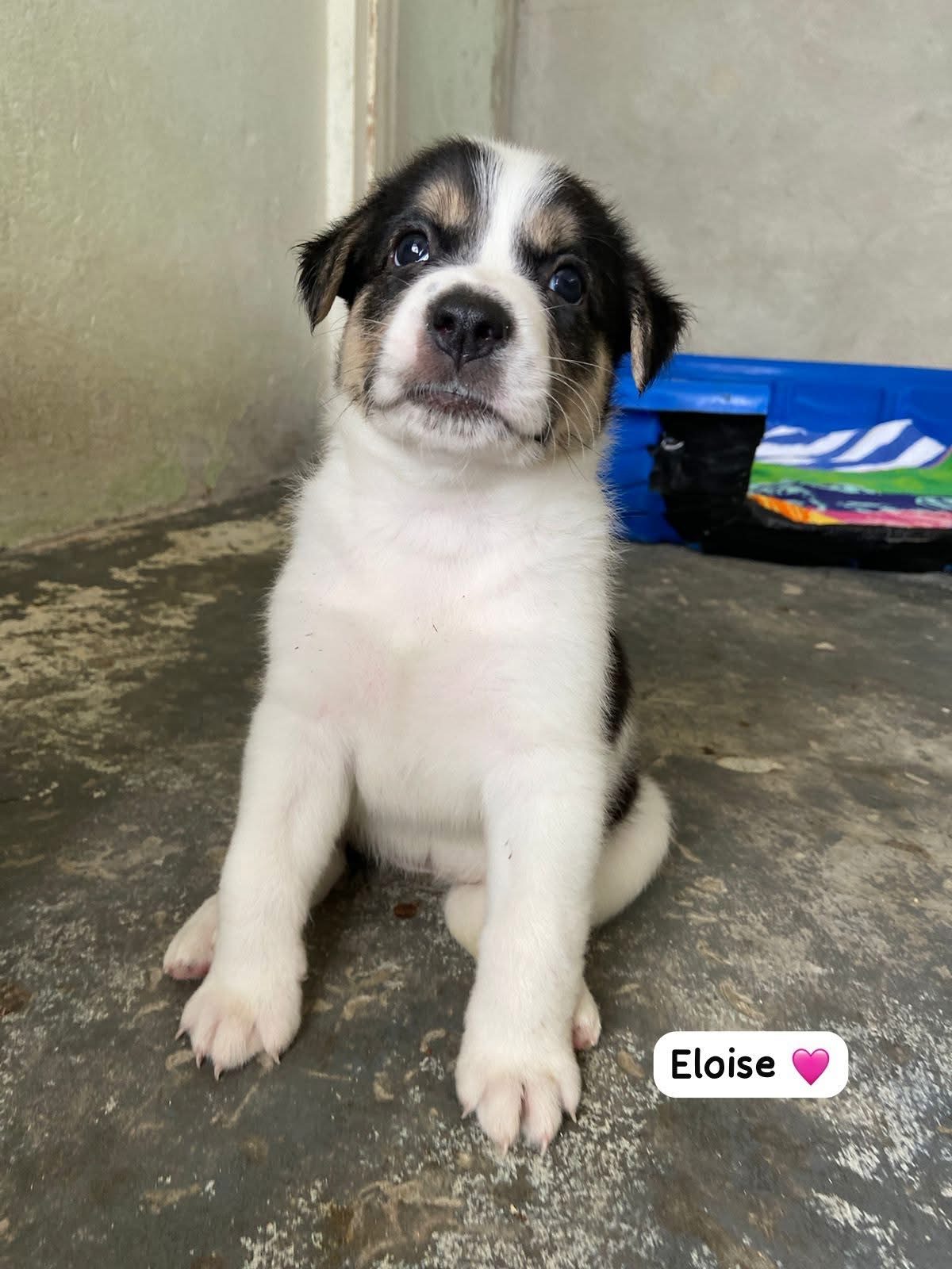 Photo of Eloise