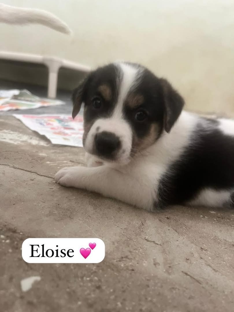 Photo of Eloise
