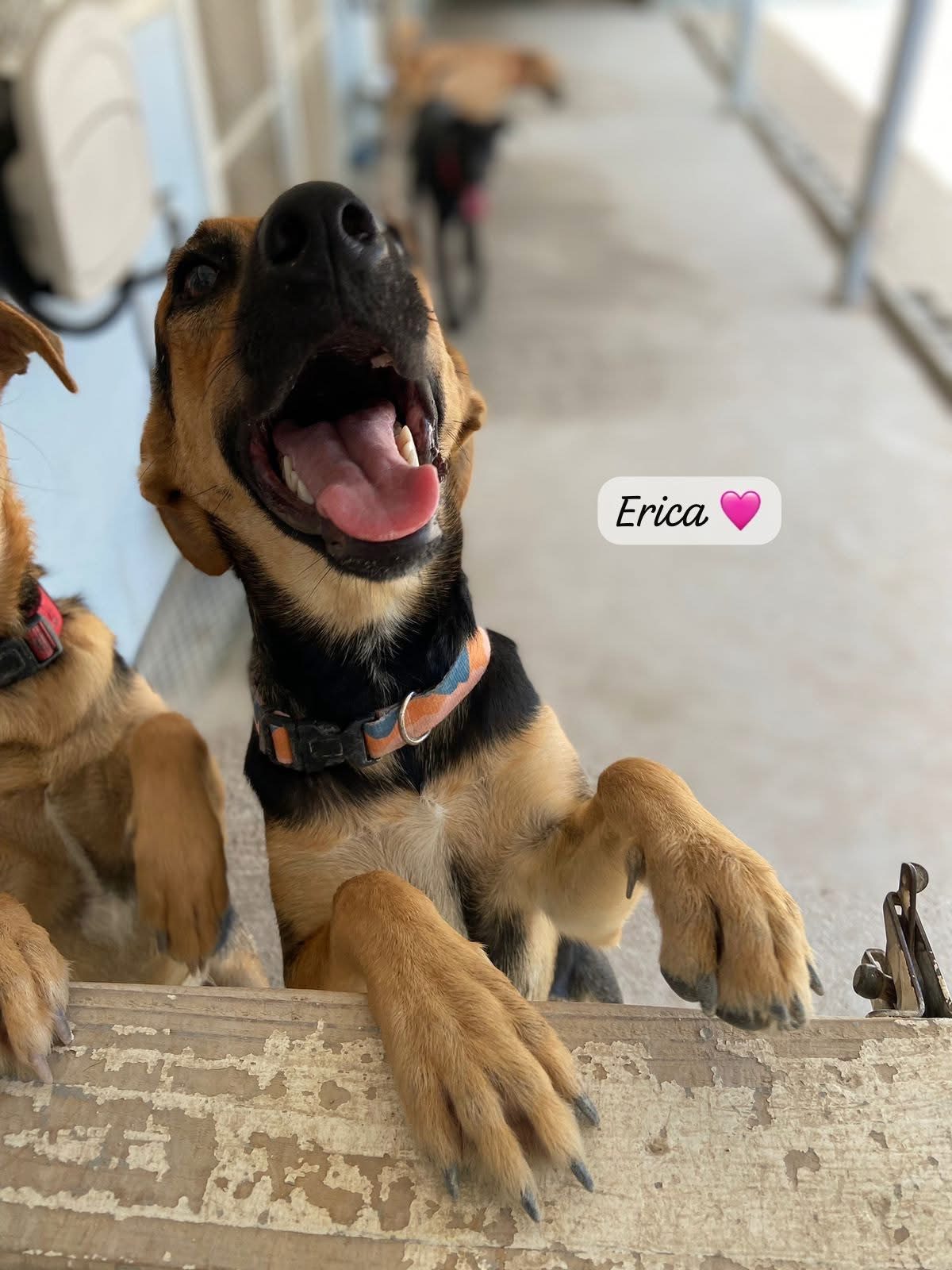 Photo of Erika