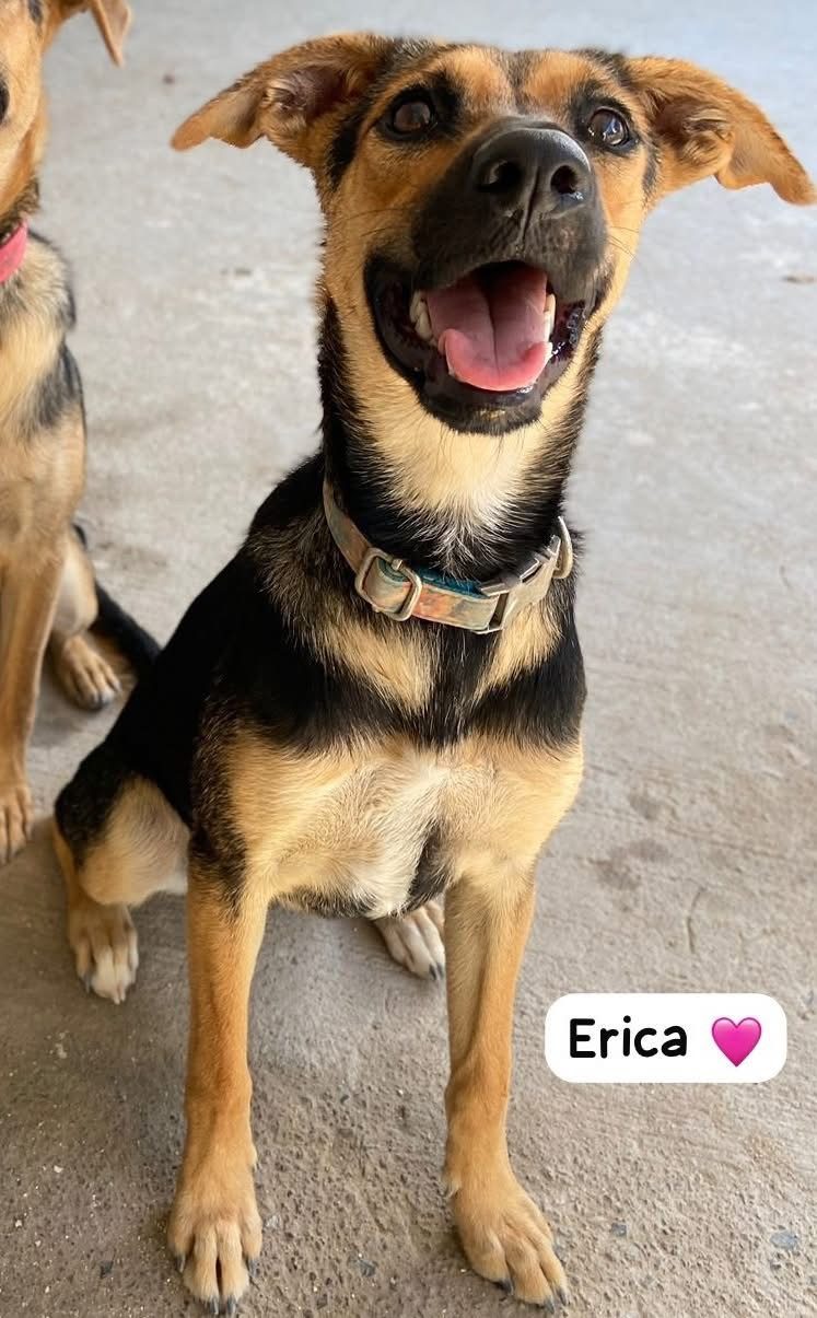 Photo of Erika
