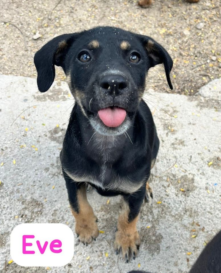 Photo of Eve