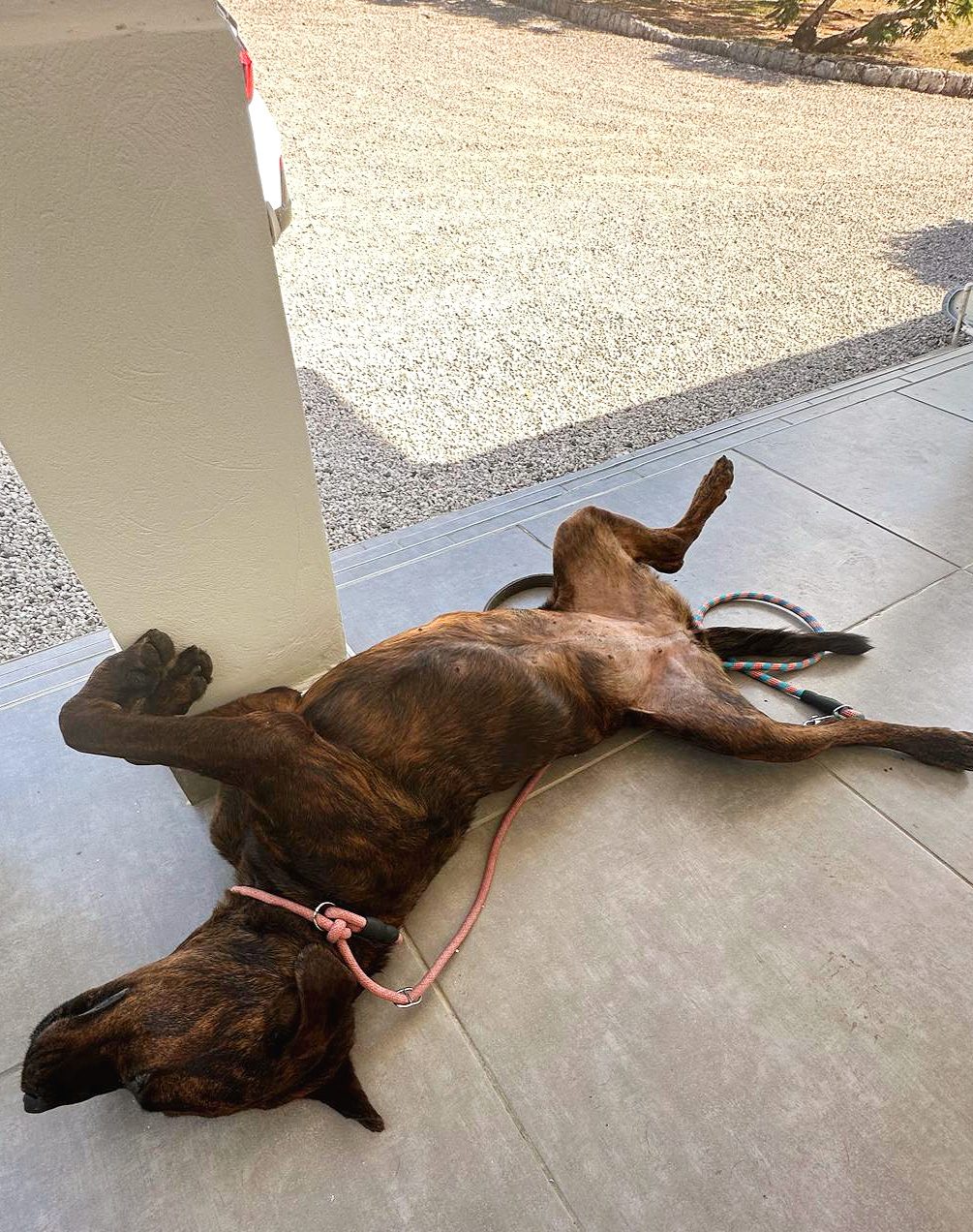 Photo of Fiona