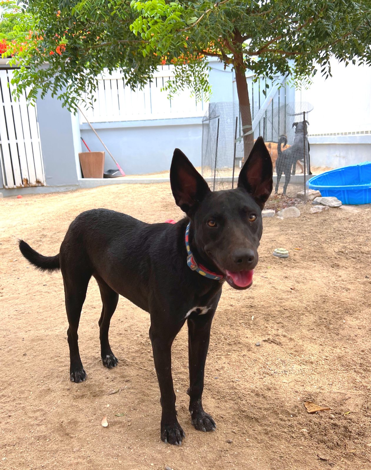Photo of Gina