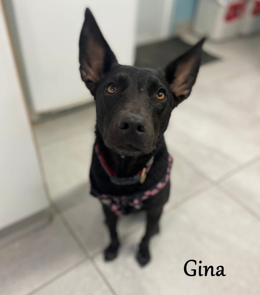Photo of Gina