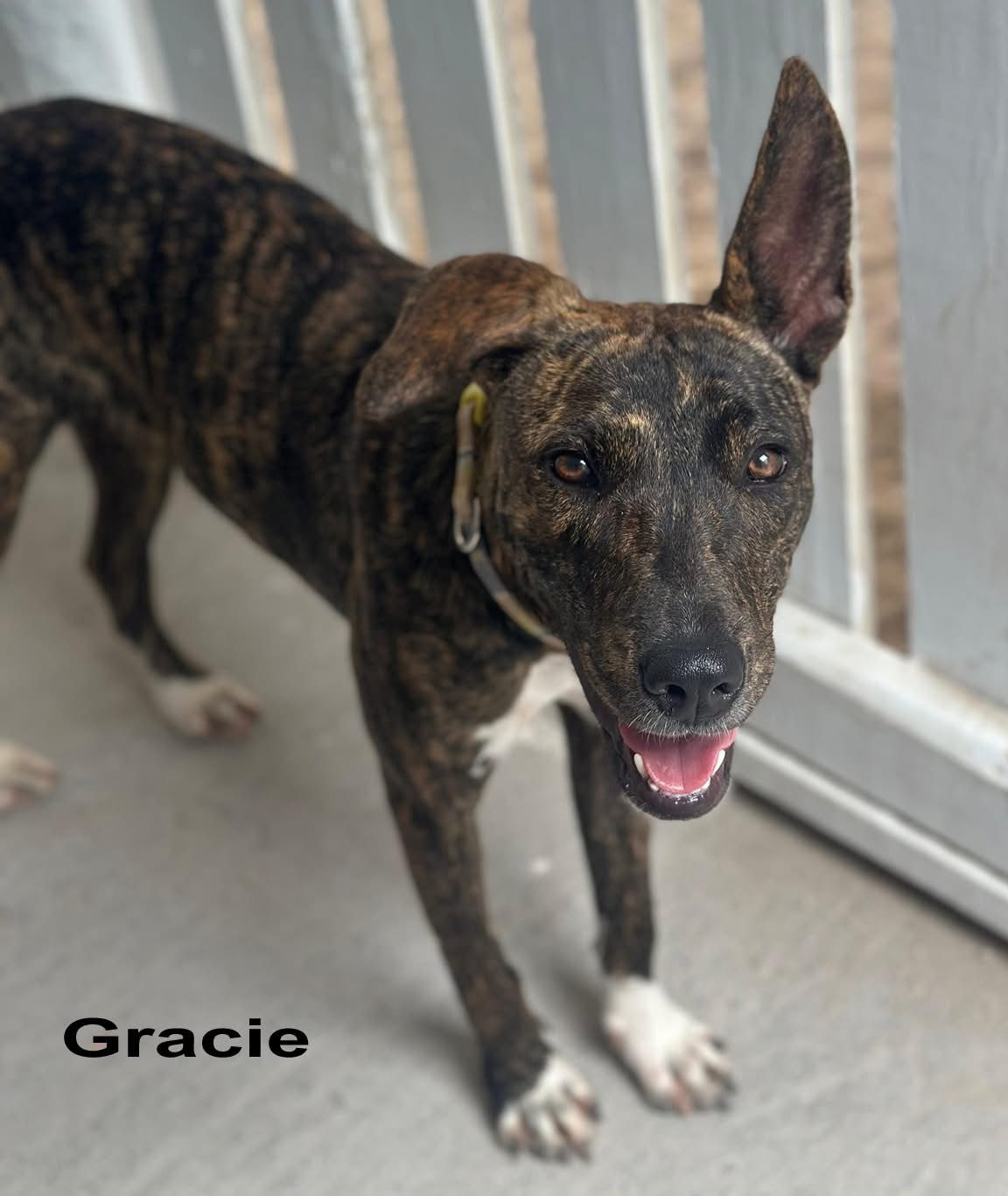 Photo of Grace