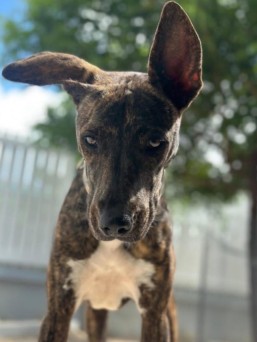 Photo of Grace