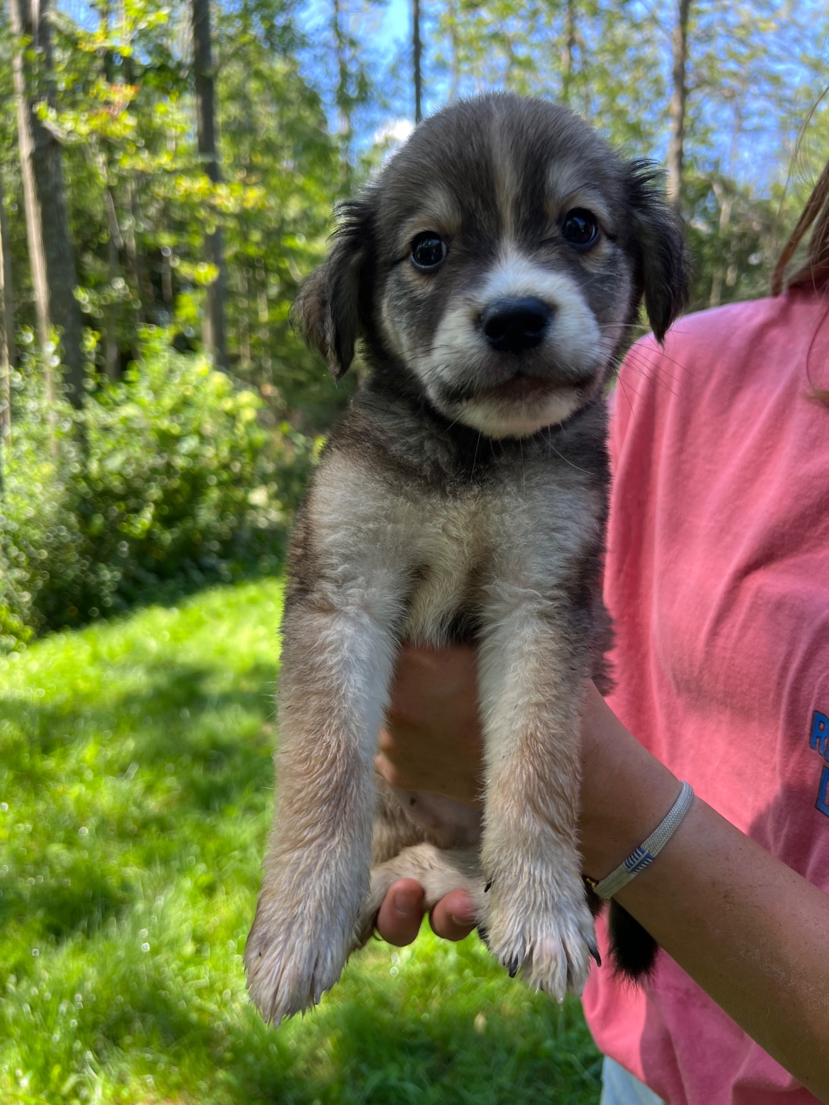 Photo of Jack