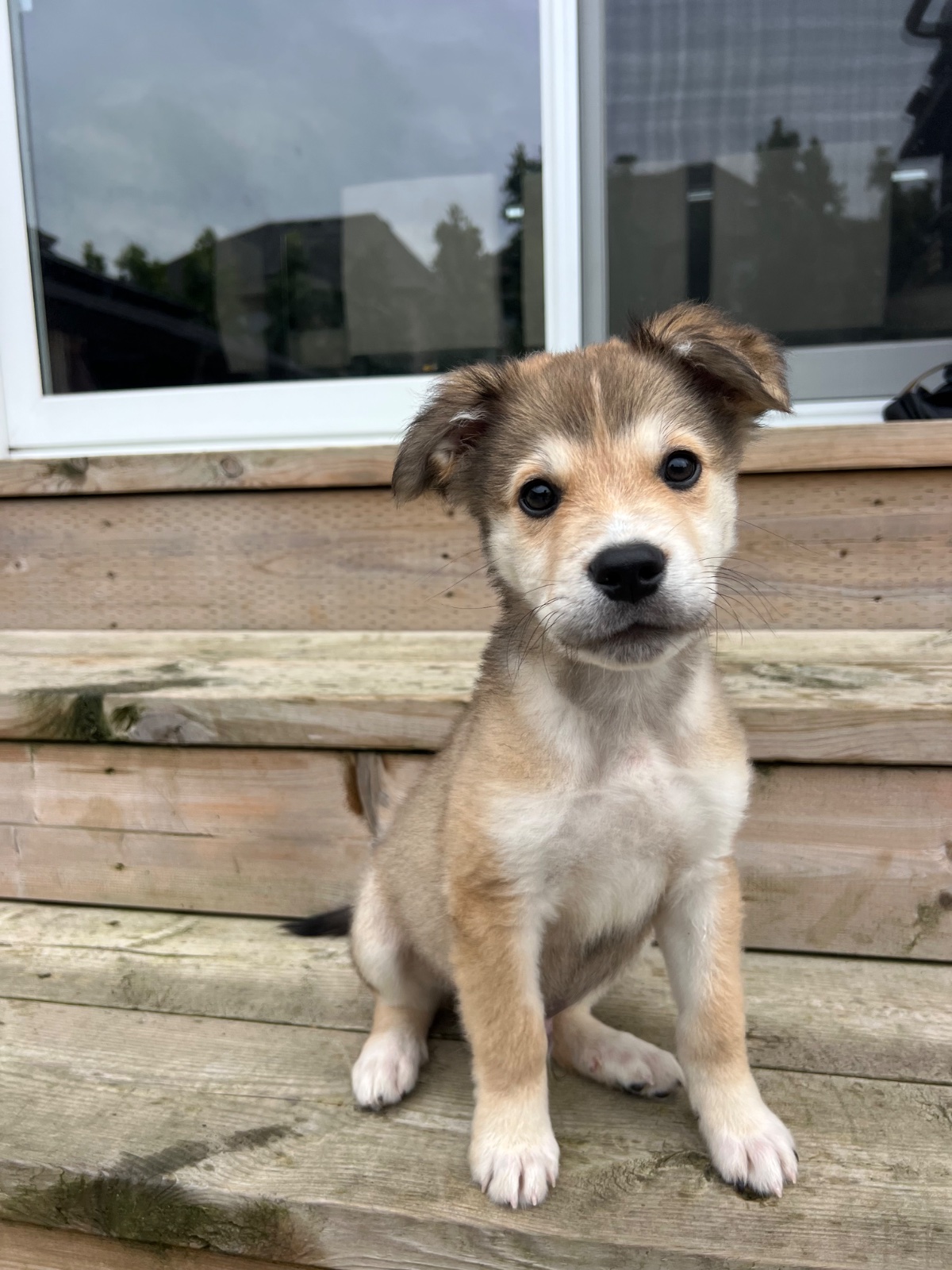 Photo of Jack
