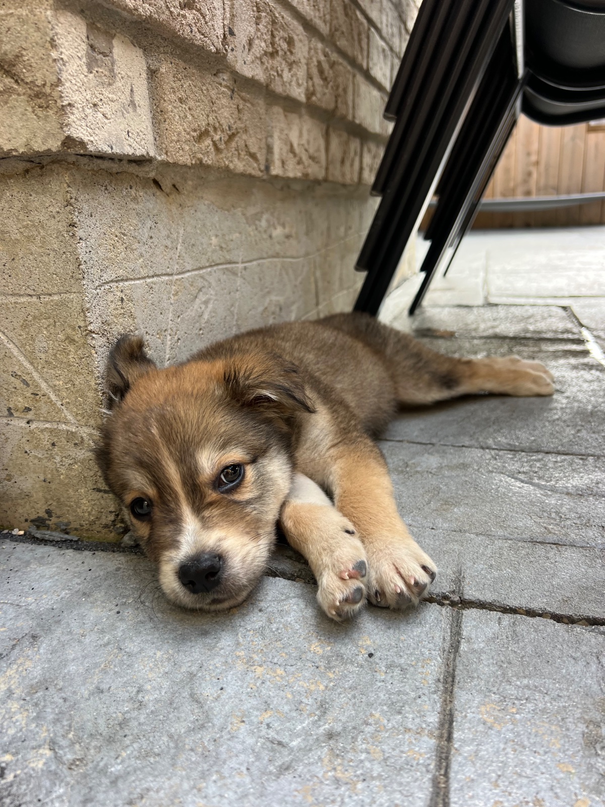 Photo of Jack