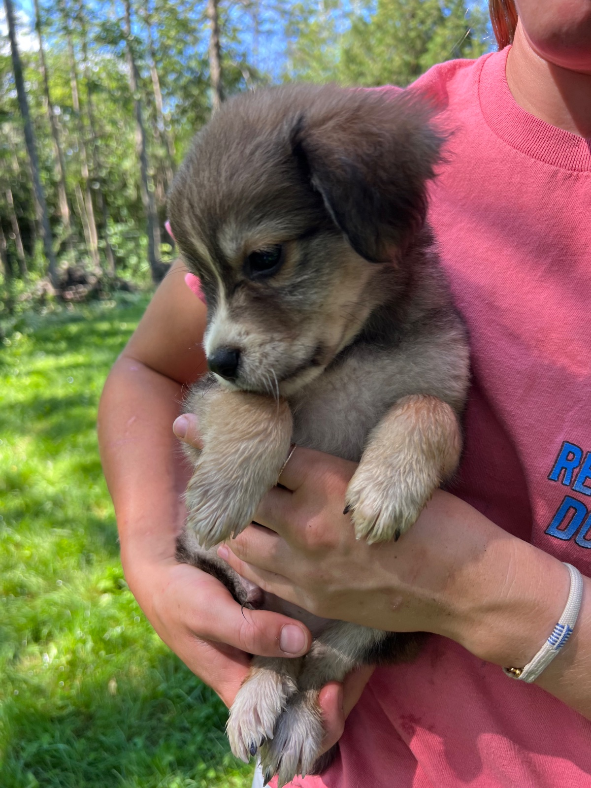 Photo of Jack