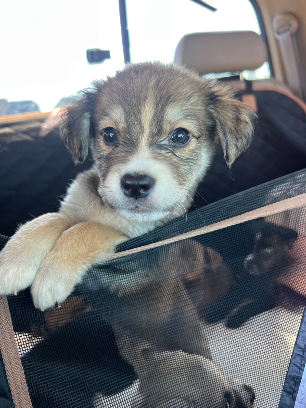 Photo of Jack