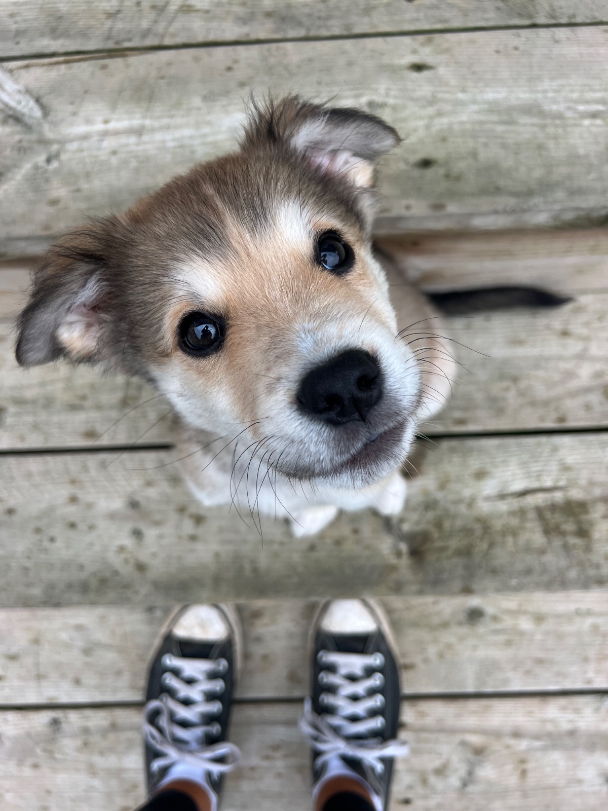 Photo of Jack