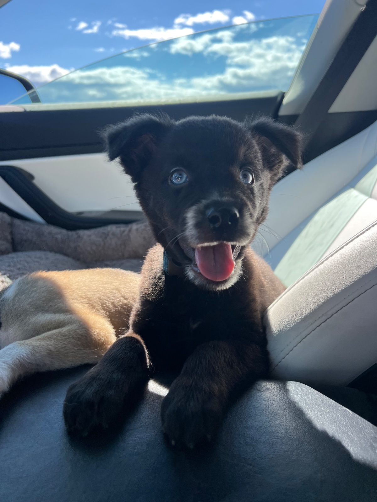 Photo of Lisa