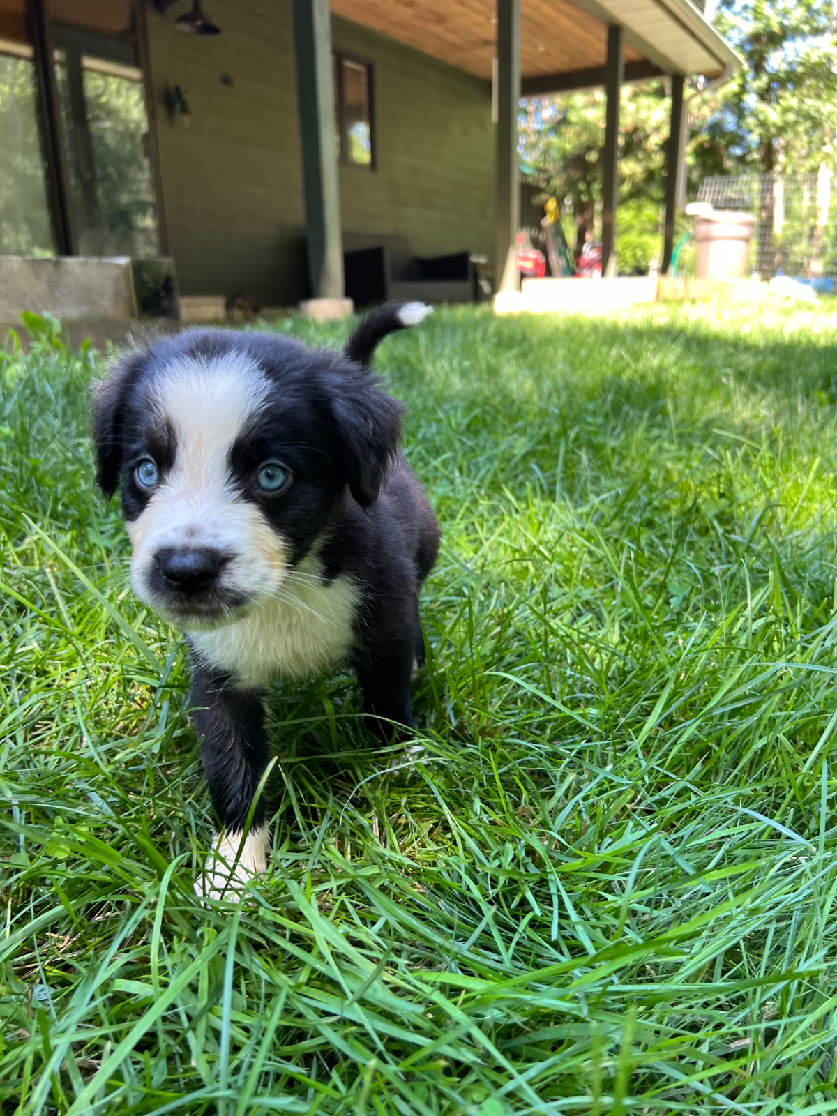 Photo of Georgie