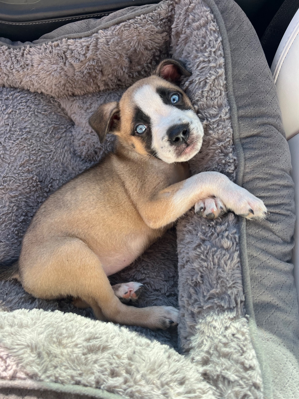 Photo of Amy