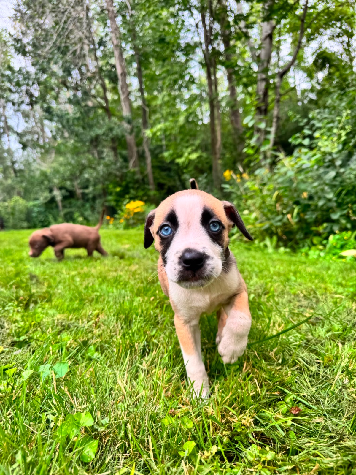 Photo of Amy
