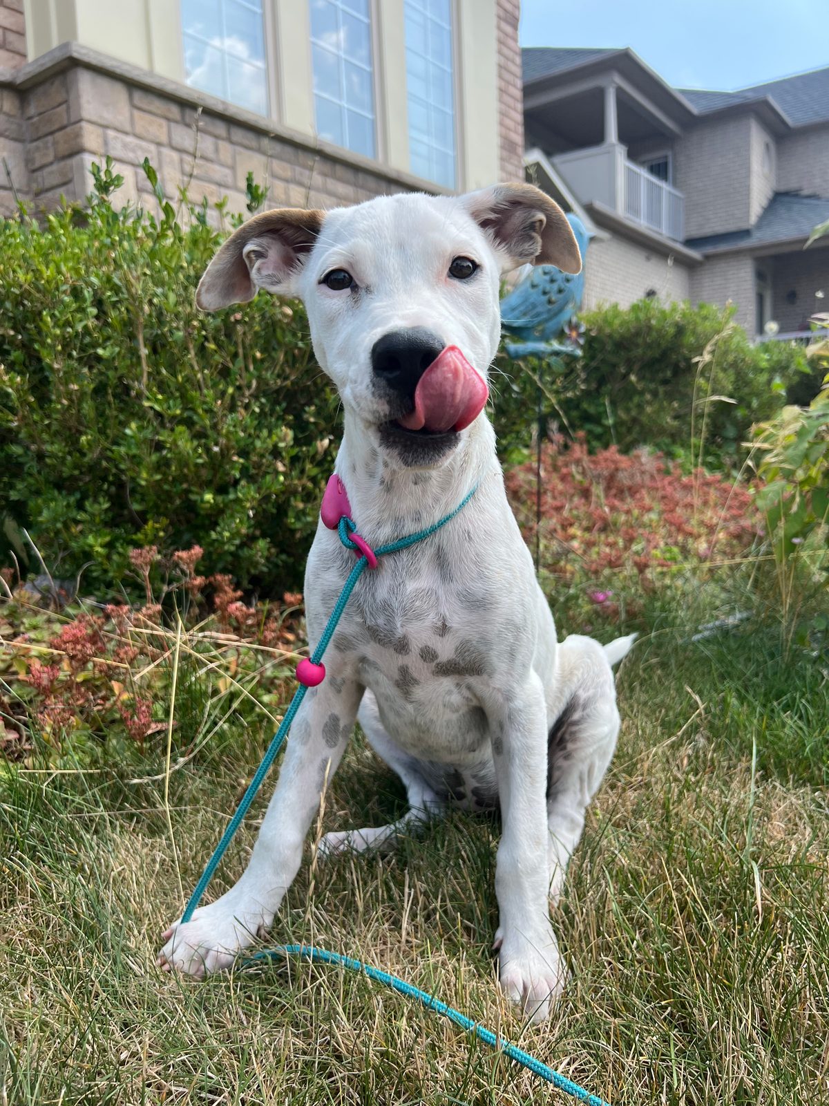 Photo of Isla